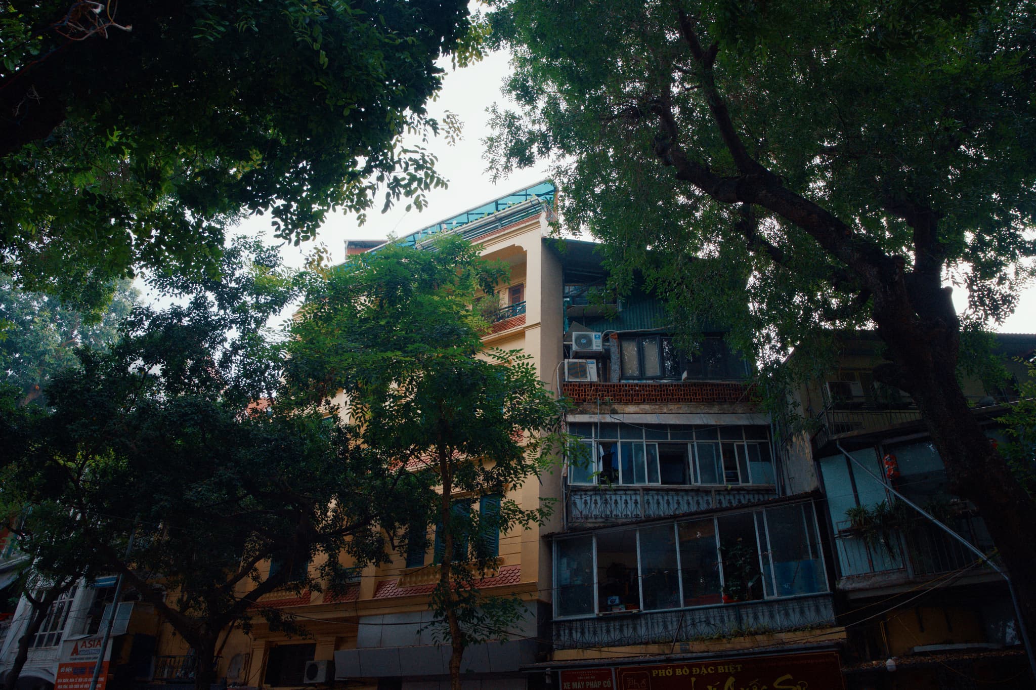 Hanoi street mural foliage